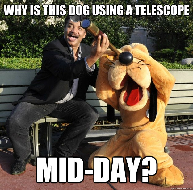 why is this dog using a telescope midday - Tyson and Pluto