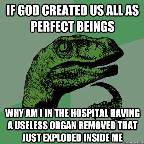 if god created us all as perfect beings why am i in the hosp - Philosoraptor