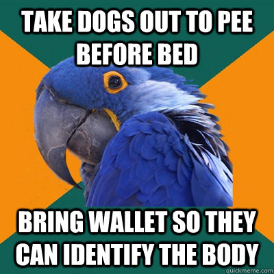 take dogs out to pee before bed bring wallet so they can ide - Paranoid Parrot