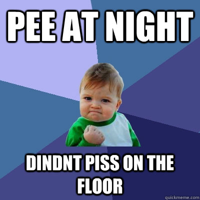 pee at night dindnt piss on the floor - Success Kid