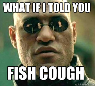 Fish Cough