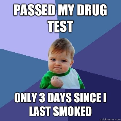 Passed my drug test Only 3 days since I last smoked - Success Kid