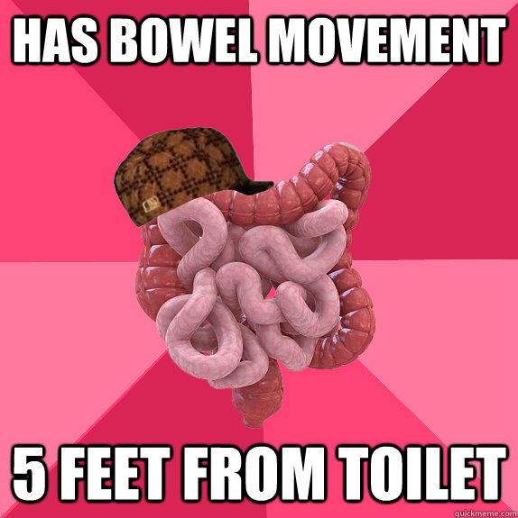 has bowel movement 5 feet from toilet - Scumbag Intestines