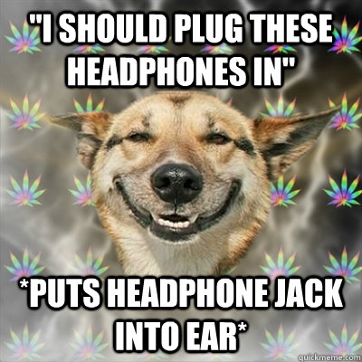 i should plug these headphones in puts headphone jack int - Stoner Dog