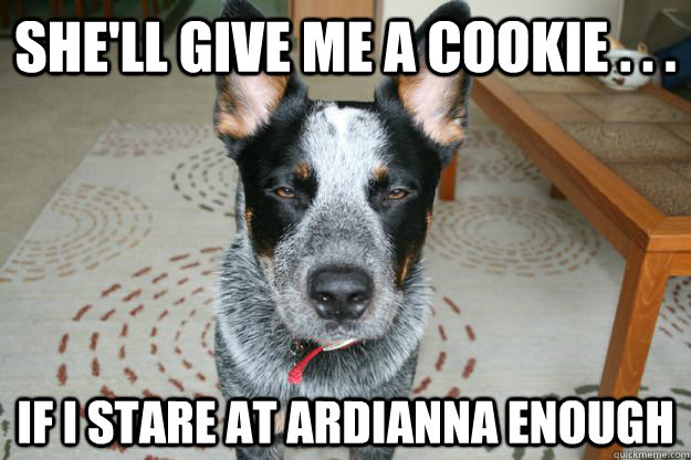 shell give me a cookie if i stare at ardianna enough - Unimpressed Roger