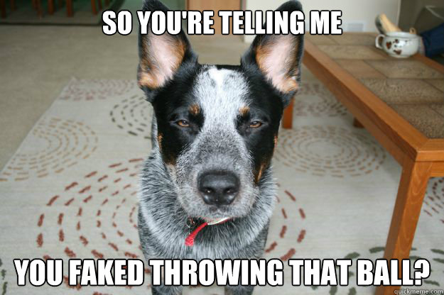 so youre telling me you faked throwing that ball -