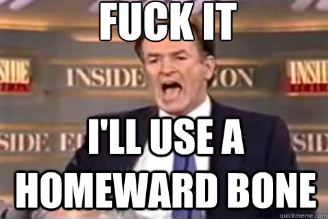 fuck it ill use a homeward bone - Fuck It Bill OReilly