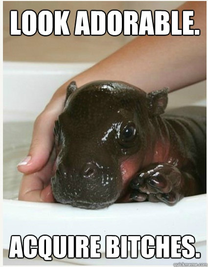 60 - Bragging Hippo