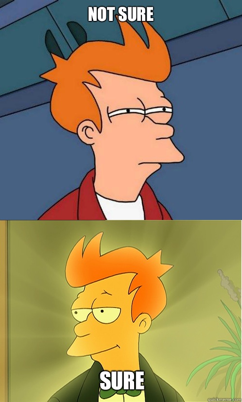 Not Sure Sure - Enlightened Fry