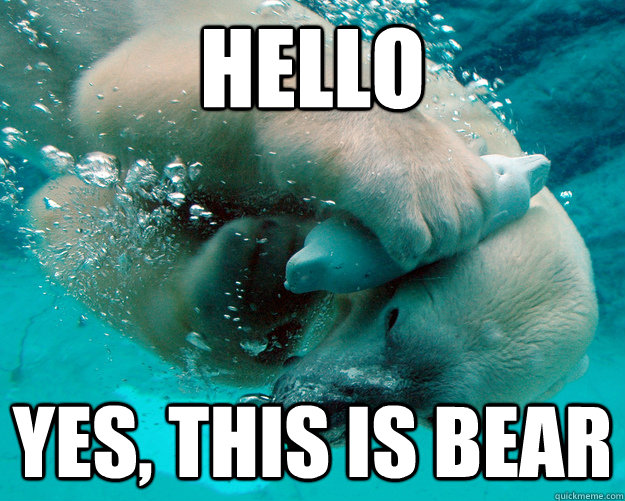 hello yes this is bear - YES BEAR