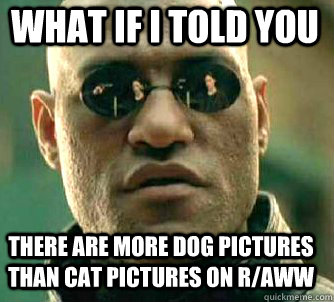 what if i told you there are more dog pictures than cat pict - Matrix Morpheus