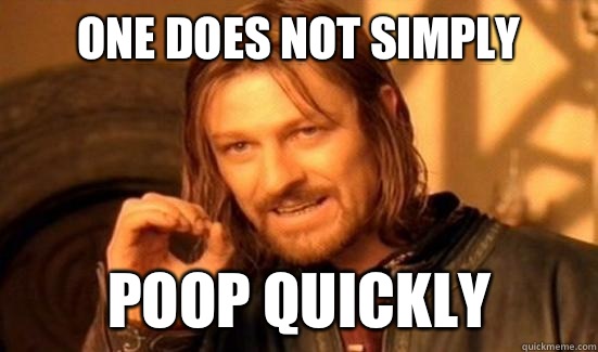 One Does Not Simply Poop quickly - Boromir