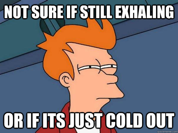 not sure if still exhaling or if its just cold out - Futurama Fry