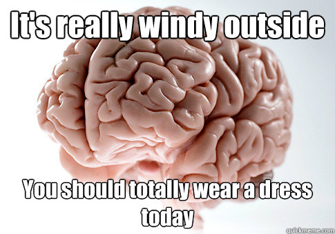 its really windy outside you should totally wear a dress to - Scumbag Brain
