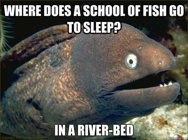 where does a school of fish go to sleep in a riverbed - Bad Joke Eel