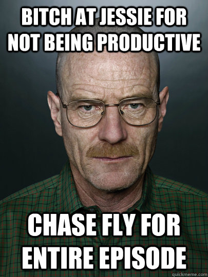 bitch at jessie for not being productive chase fly for entir - Advice Walter White
