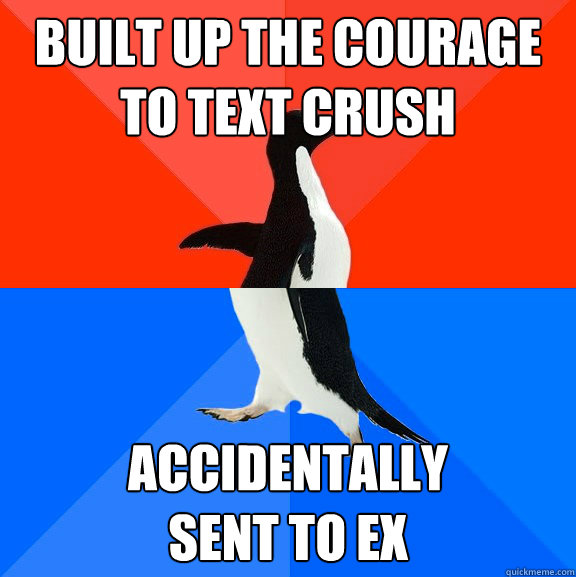 built up the courage to text crush accidentally sent to ex - Socially Awesome Awkward Penguin