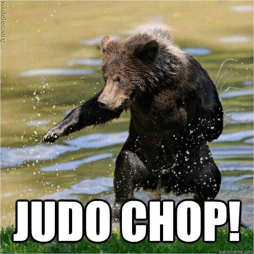 judo chop - Karate Bear