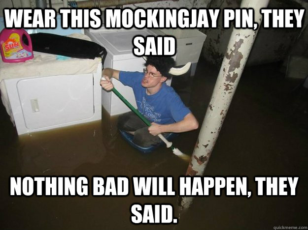wear this mockingjay pin they said nothing bad will happen - Do the laundry they said