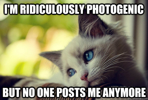im ridiculously photogenic but no one posts me anymore - First World Cat Problems
