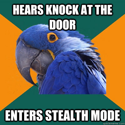 hears knock at the door enters stealth mode - Paranoid Parrot