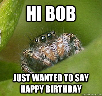 hi bob just wanted to say happy birthday - Misunderstood Spider