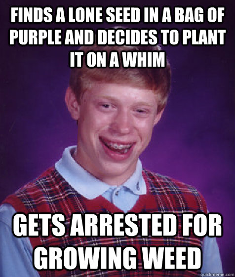 finds a lone seed in a bag of purple and decides to plant it - Bad Luck Brian