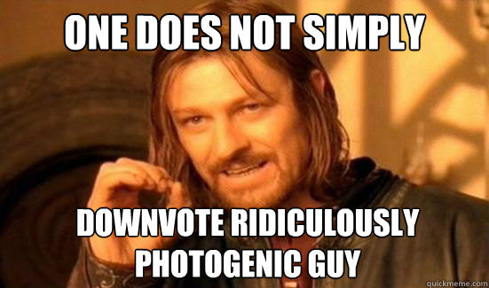 one does not simply downvote ridiculously photogenic guy - Boromir