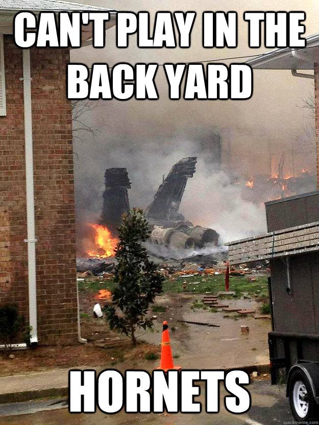 cant play in the back yard hornets - hornets