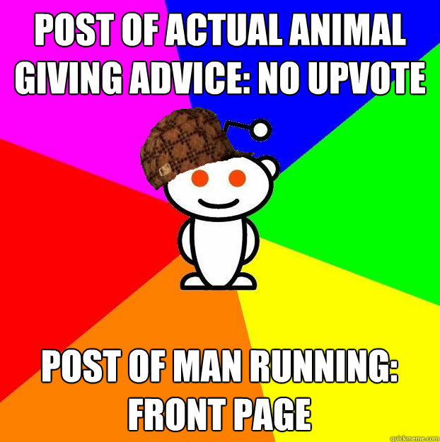 post of actual animal giving advice no upvote post of man r - Scumbag Redditor