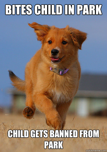 bites child in park child gets banned from park - Ridiculously Photogenic Puppy