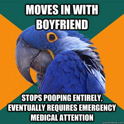 moves in with boyfriend stops pooping entirely eventually r - Paranoid Parrot