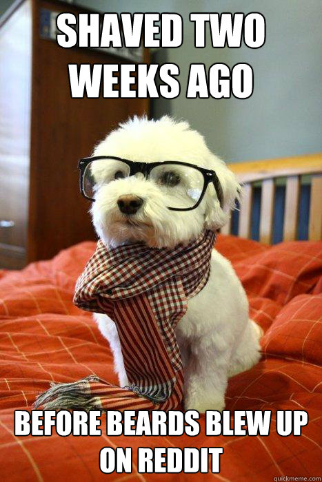 shaved two weeks ago before beards blew up on reddit - Hipster Dog