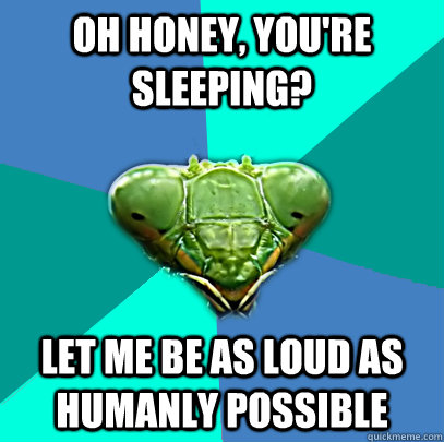 oh honey youre sleeping let me be as loud as humanly poss - Crazy Girlfriend Praying Mantis