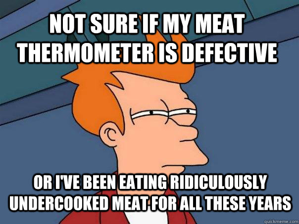 not sure if my meat thermometer is defective or ive been ea - Futurama Fry