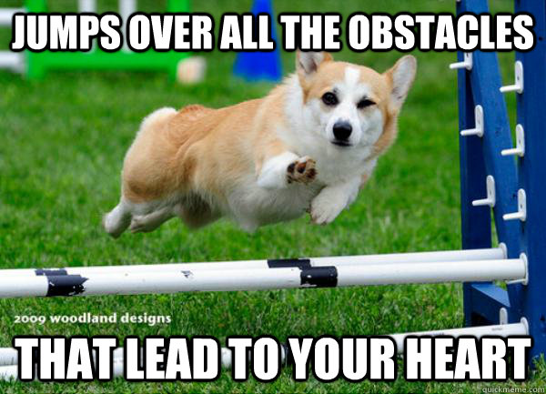 jumps over all the obstacles that lead to your heart -