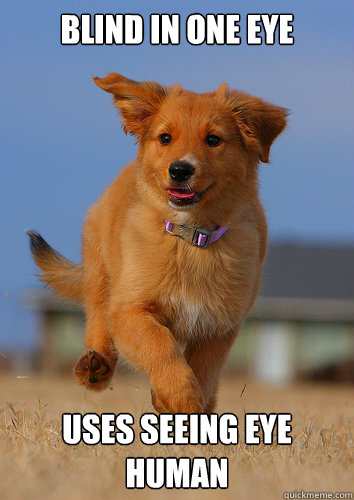 blind in one eye uses seeing eye human - Ridiculously Photogenic Puppy