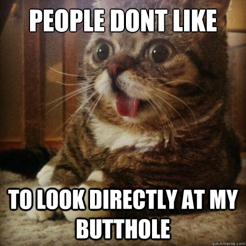 people dont like to look directly at my butthole - Sudden Clarity Cat