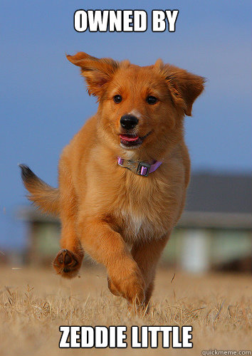 owned by zeddie little - Ridiculously Photogenic Puppy