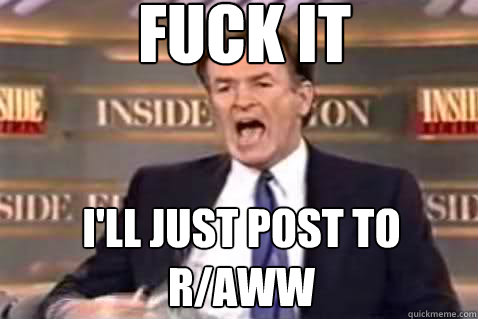 fuck it ill just post to raww - Fuck It Bill OReilly