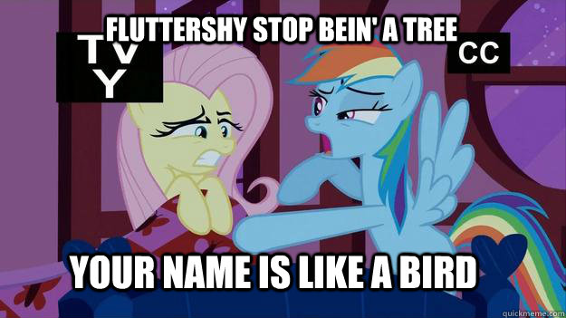 fluttershy stop bein a tree your name is like a bird - Rainbow dash came home drunk again