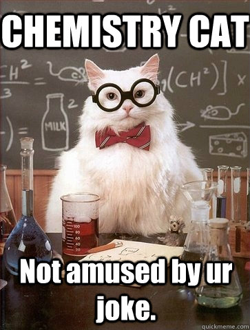 chemistry cat not amused by ur joke - Chemistry Cat