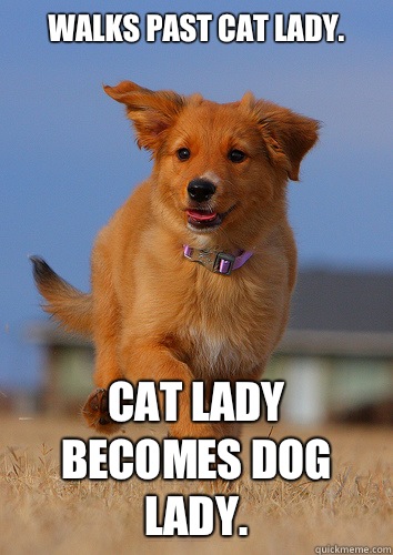 Walks past cat lady Cat lady becomes dog lady - Ridiculously Photogenic Puppy