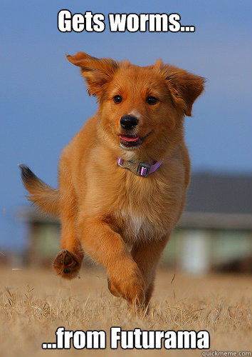 gets worms from futurama - Ridiculously Photogenic Puppy