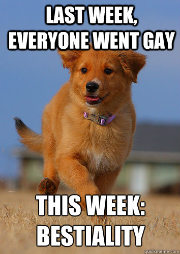 last week everyone went gay this week bestiality - Ridiculously Photogenic Puppy