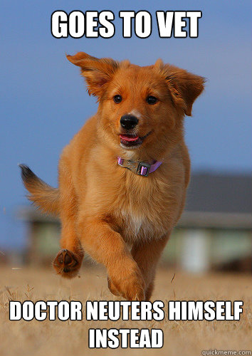 goes to vet doctor neuters himself instead - Ridiculously Photogenic Puppy