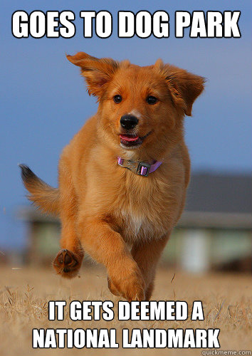 goes to dog park it gets deemed a national landmark - Ridiculously Photogenic Puppy