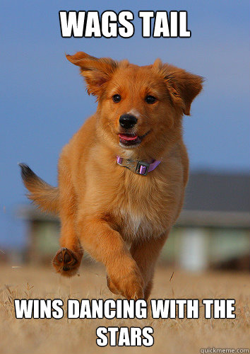 wags tail wins dancing with the stars - Ridiculously Photogenic Puppy
