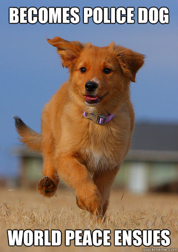 becomes police dog world peace ensues - Ridiculously Photogenic Puppy