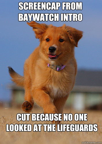 screencap from baywatch intro cut because no one looked at t - Ridiculously Photogenic Puppy